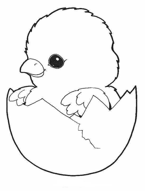 Dibujo de Pollito en Huevo para Colorear