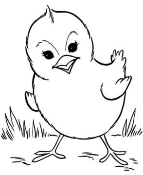 Dibujo de Polluelo Genial para Colorear