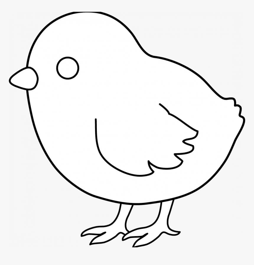 Dibujo de Polluelo Simple para Colorear