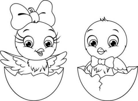 Dibujo de Polluelos Machos y Hembras para Colorear