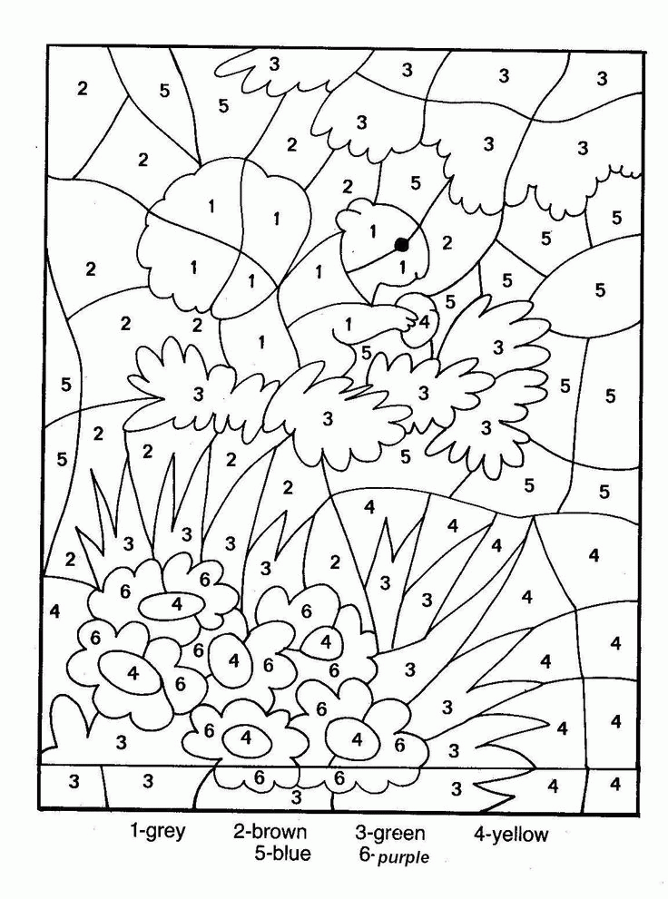 Dibujo de Ardilla por números para Colorear