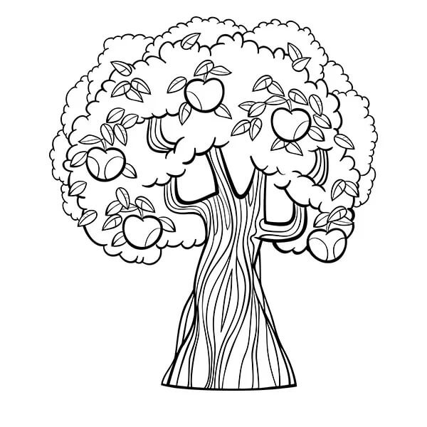 Dibujo de Árbol Hermoso en Primavera para Colorear