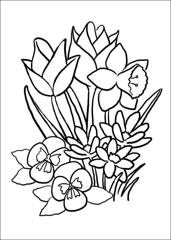 Dibujo de Flor en Primavera para Colorear