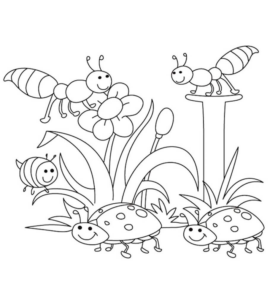 Dibujo de Insectos en Primavera para Colorear