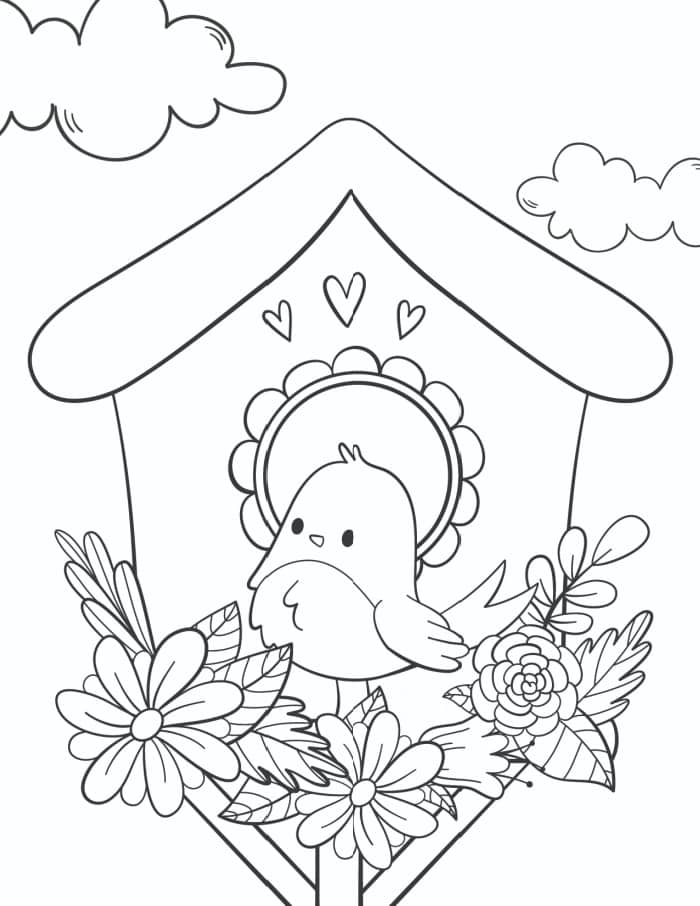 Dibujo de Pájaro en Primavera para Colorear
