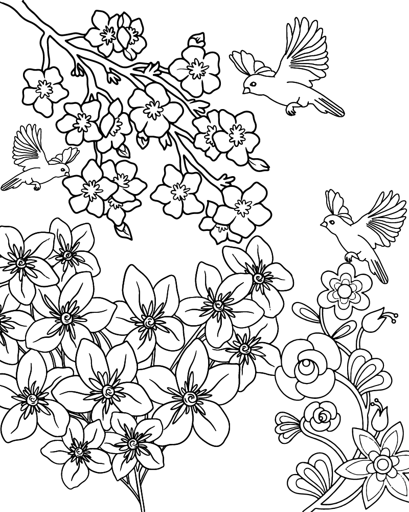Dibujo de Spring Blossom Coloring Page para Colorear