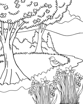 Dibujo de Spring Nature Coloring Page para Colorear