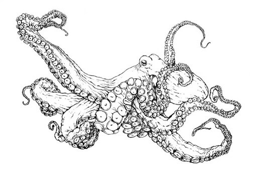 Dibujo de Animal Pulpo común para Colorear