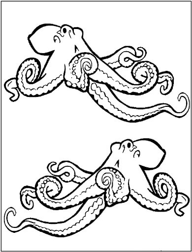 Dibujo de Dos Pulpas para Colorear