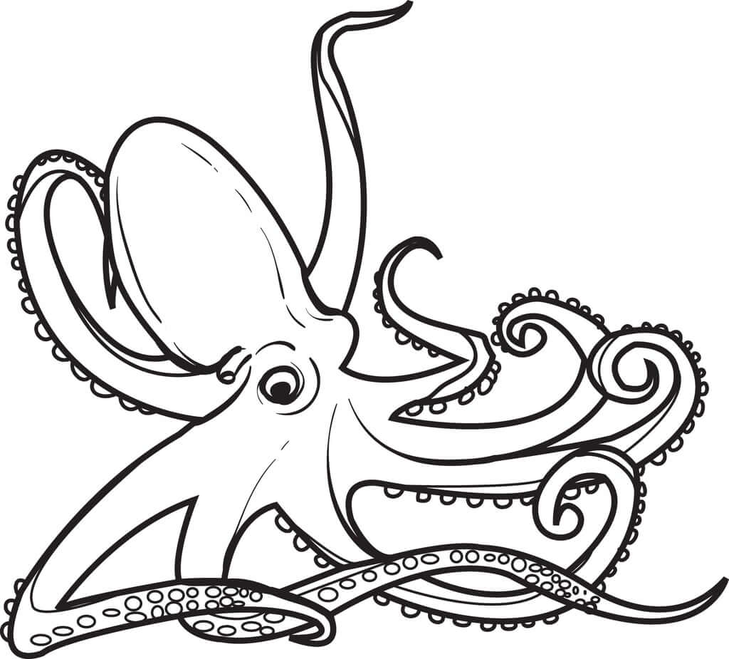Dibujo de Lindo Pulpo para Colorear