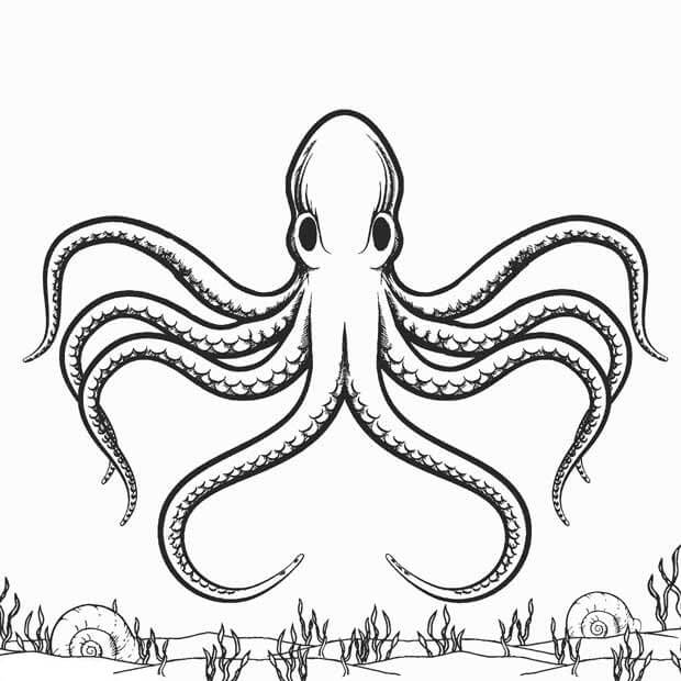 Dibujo de Pulpo Agradable para Colorear