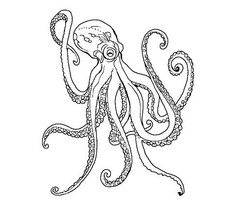Dibujo de Pulpo Asombroso para Colorear