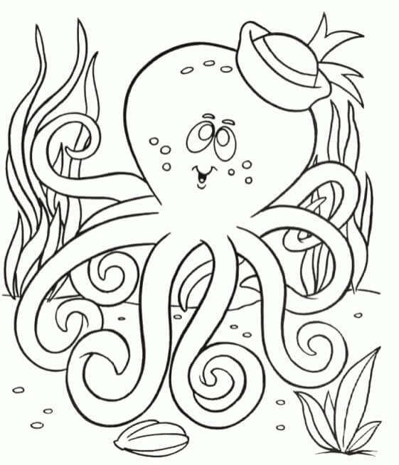 Dibujo de Pulpo con Sombrero para Colorear