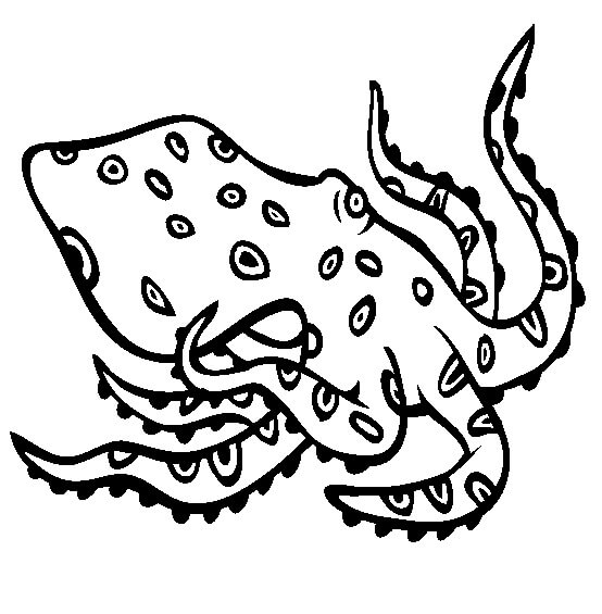 Dibujo de Pulpo de Anillos Azules para Colorear