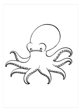 Dibujo de Pulpo Gigante para Colorear