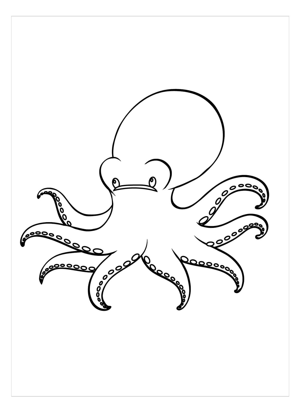 Dibujo de Pulpo Gigante para Colorear