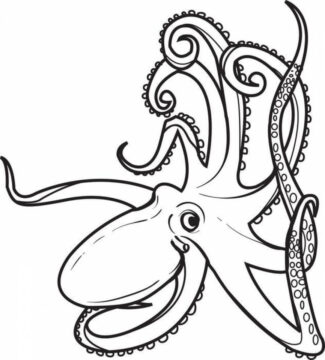 Dibujo de Pulpo Impresionante para Colorear