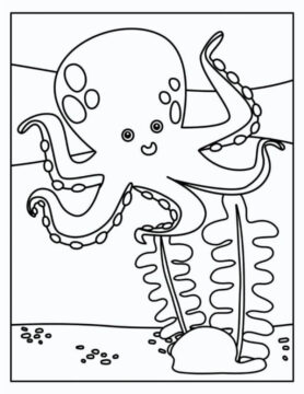 Dibujo de Pulpo y Coral para Colorear