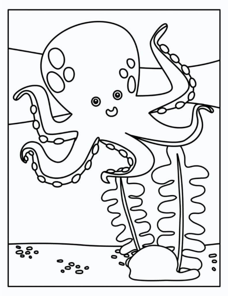 Dibujo de Pulpo y Coral para Colorear