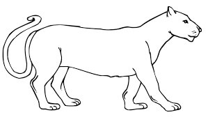 Dibujo de Agradable Puma para Colorear