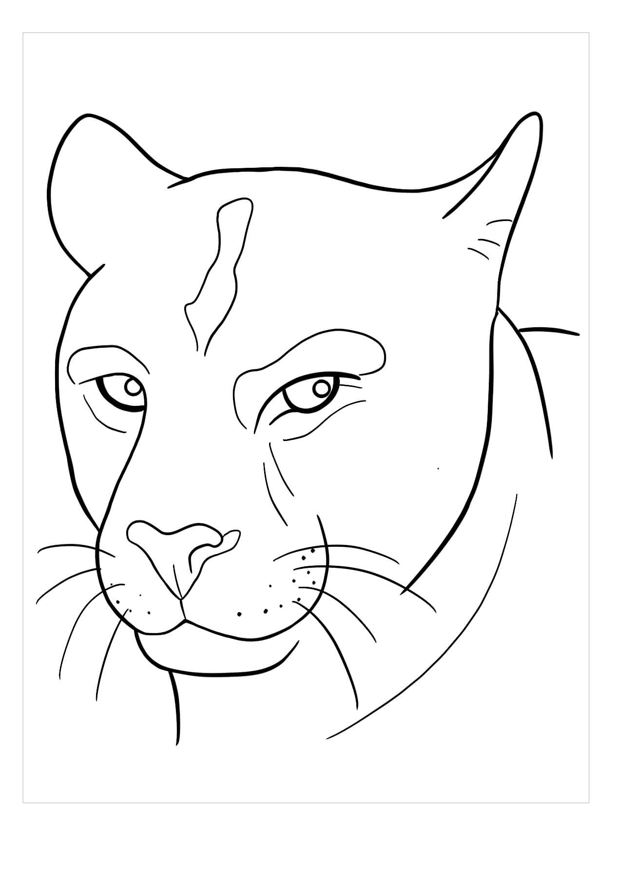 Dibujo de Cabeza de Puma para Colorear
