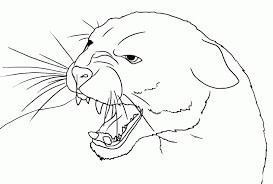 Dibujo de Cara Puma Enojado para Colorear