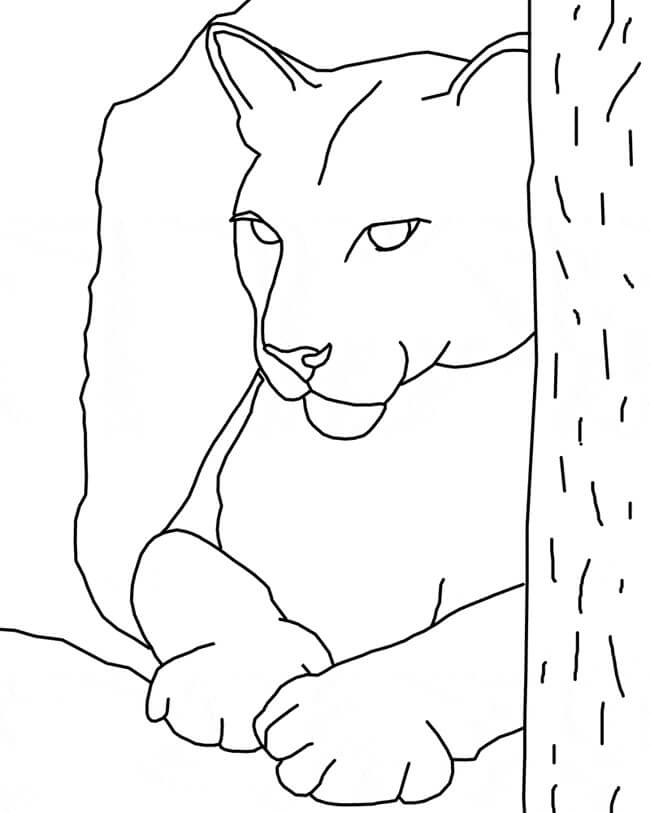 Dibujo de Cara Puma para Colorear