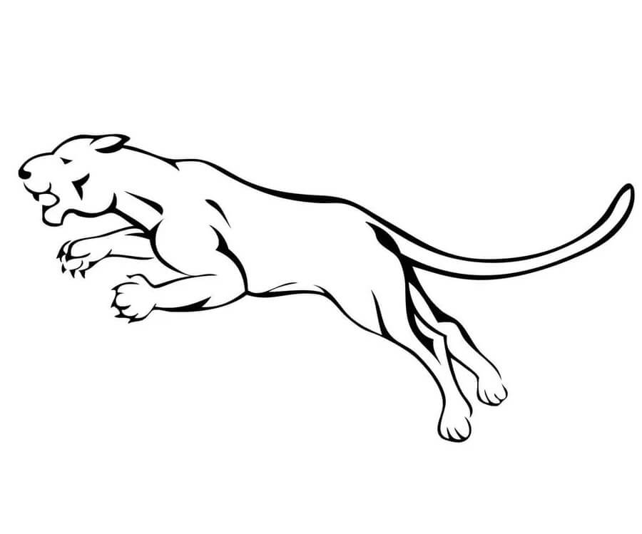 Dibujo de Puma Saltando para Colorear