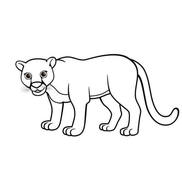 Dibujo de Lindo Puma para Colorear