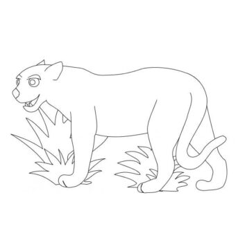 Dibujo de Puma Gracioso para Colorear