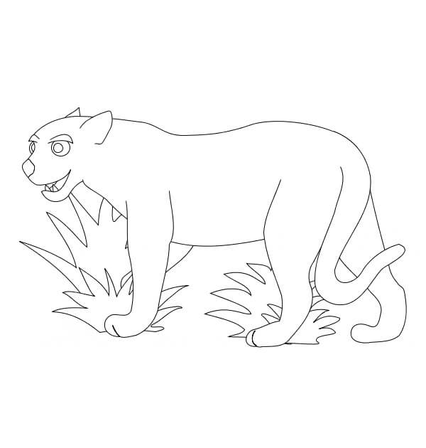 Dibujo de Puma Gracioso para Colorear