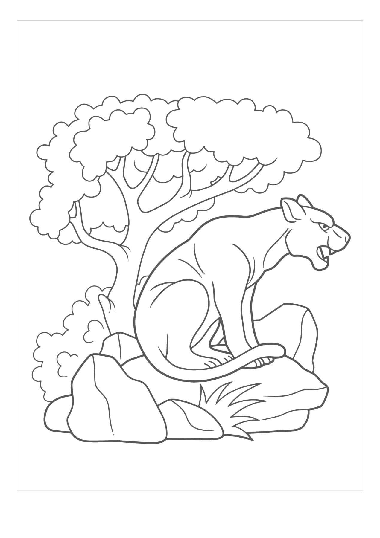 Dibujo de Puma Sentado en Roca para Colorear