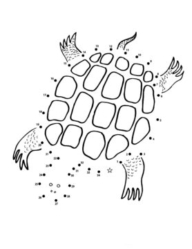 Dibujo de Tortuga Punto a Puntos para Colorear