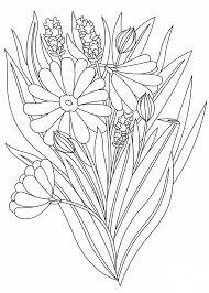 Dibujo de Ramo Kawaii para Colorear