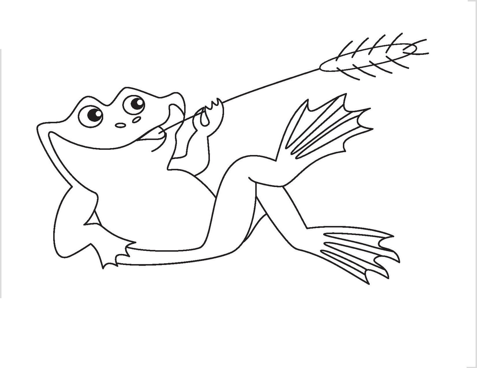 Dibujo de Rana Acostada para Colorear