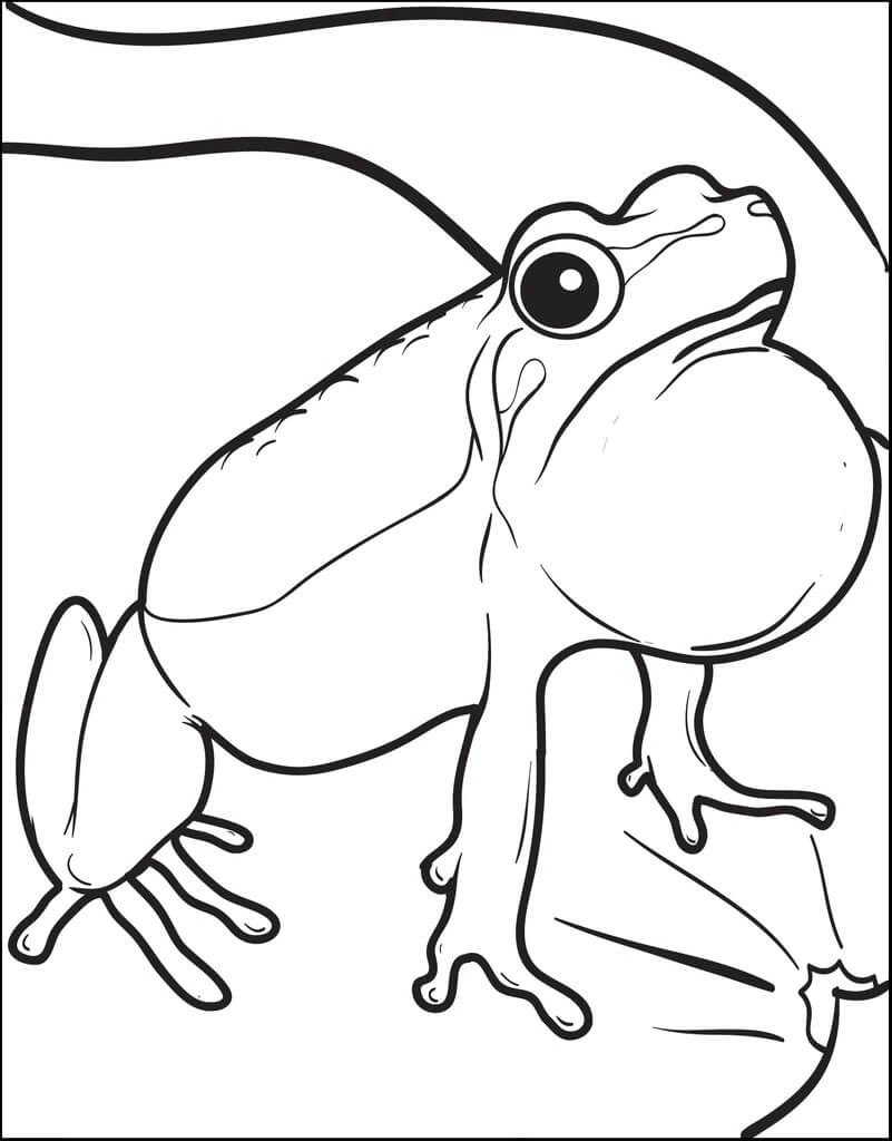 Dibujo de Rana Adorable para Colorear