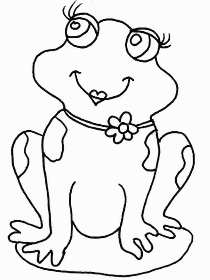 Dibujo de Rana Bonita para Colorear
