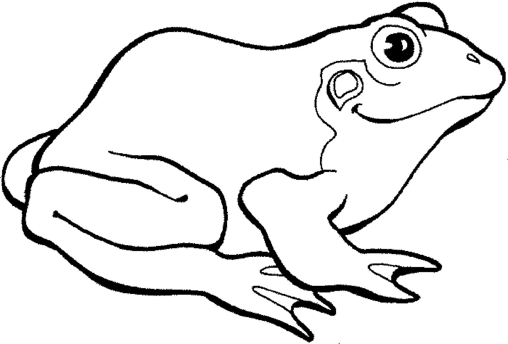 Dibujo de Rana de Dibujo básico para Colorear