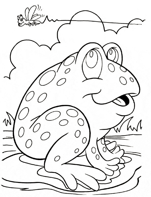 Dibujo de Rana e Insecto para Colorear