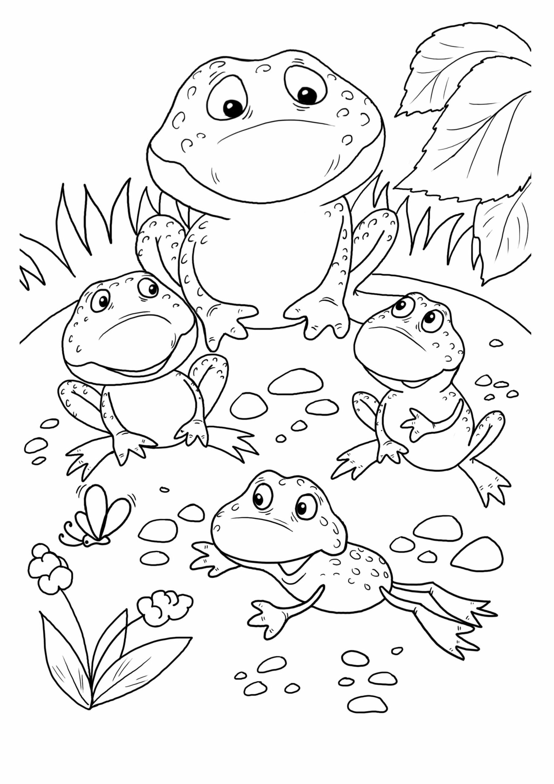 Dibujo de Rana Familiar para Colorear