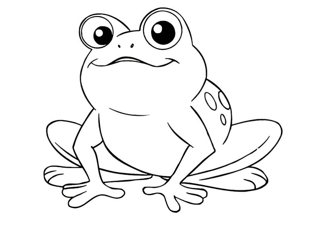 Dibujo de Rana Increible para Colorear