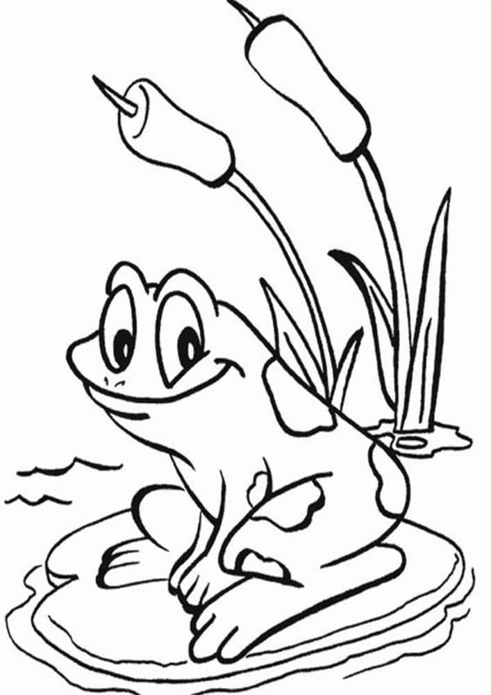 Dibujo de Rana y Flores para Colorear