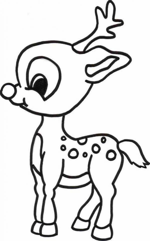 Dibujo de Bebé Reno para Colorear