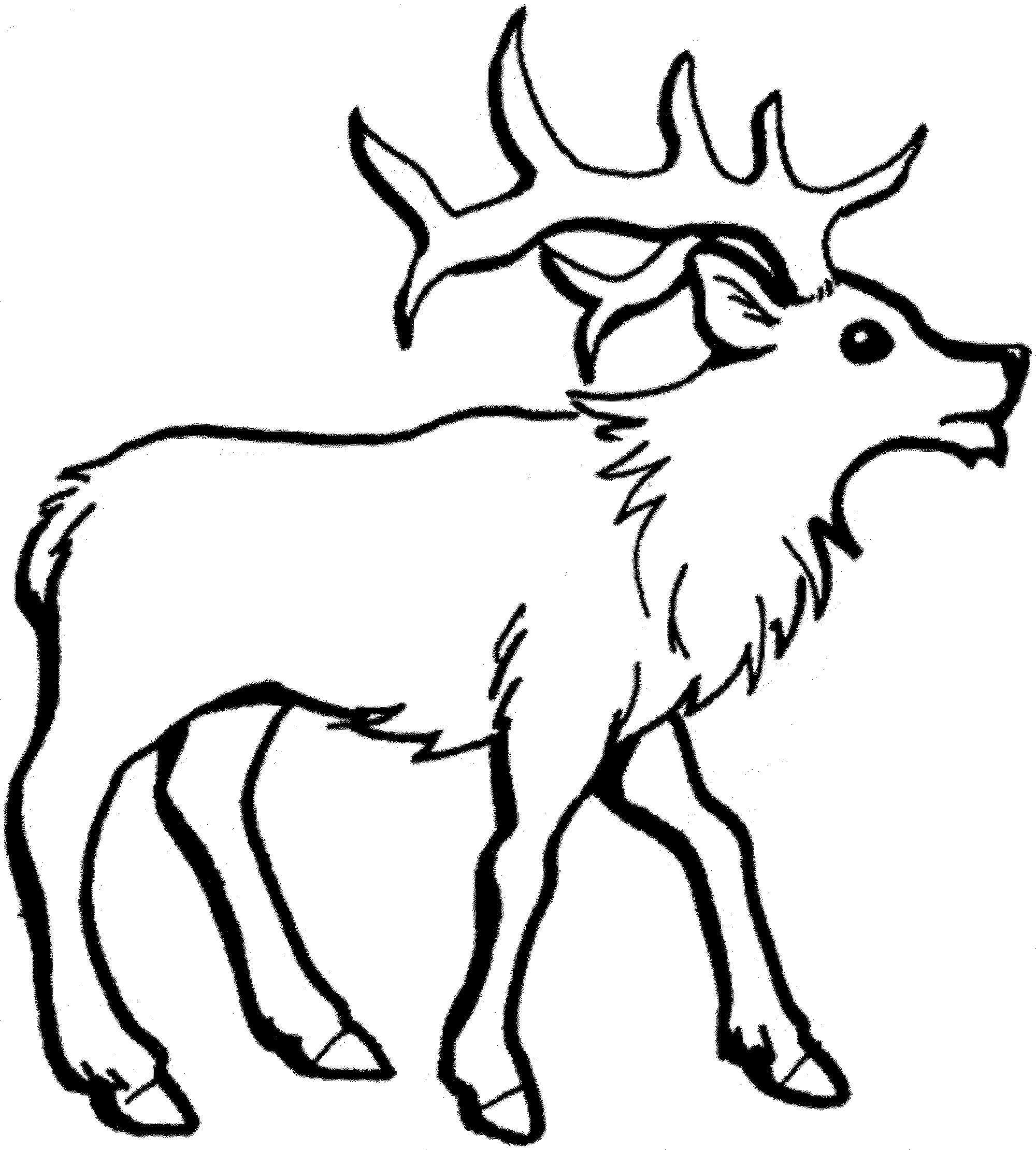Dibujo de Reno para Colorear