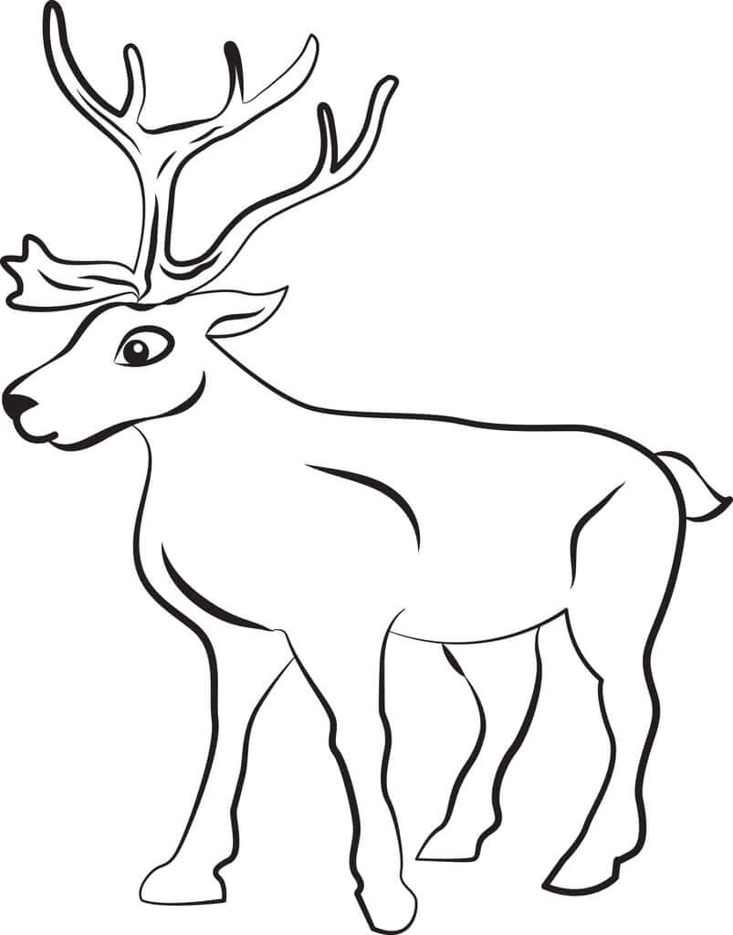 Dibujo de Gran Reno para Colorear