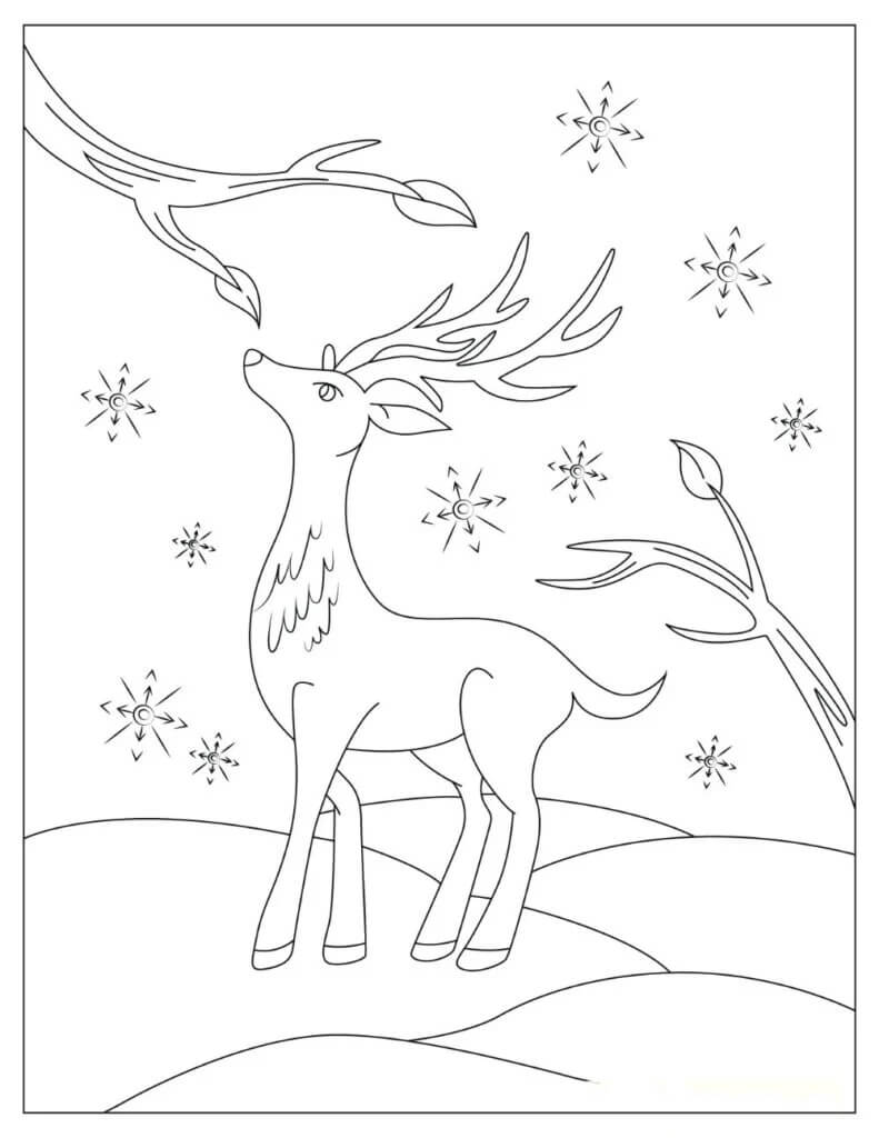 Dibujo de Hermoso Reno para Colorear