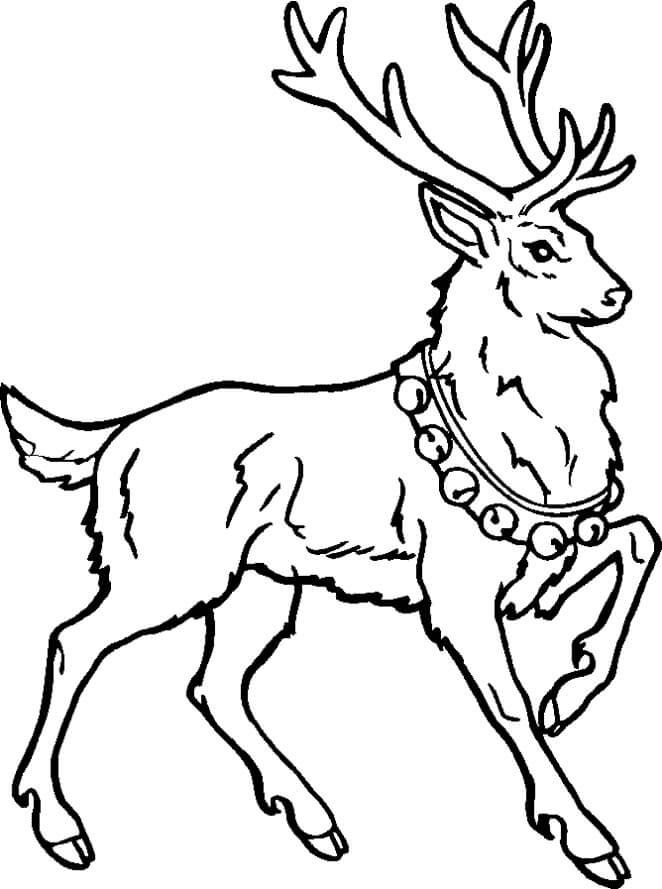 Dibujo de Impresionante Reno para Colorear