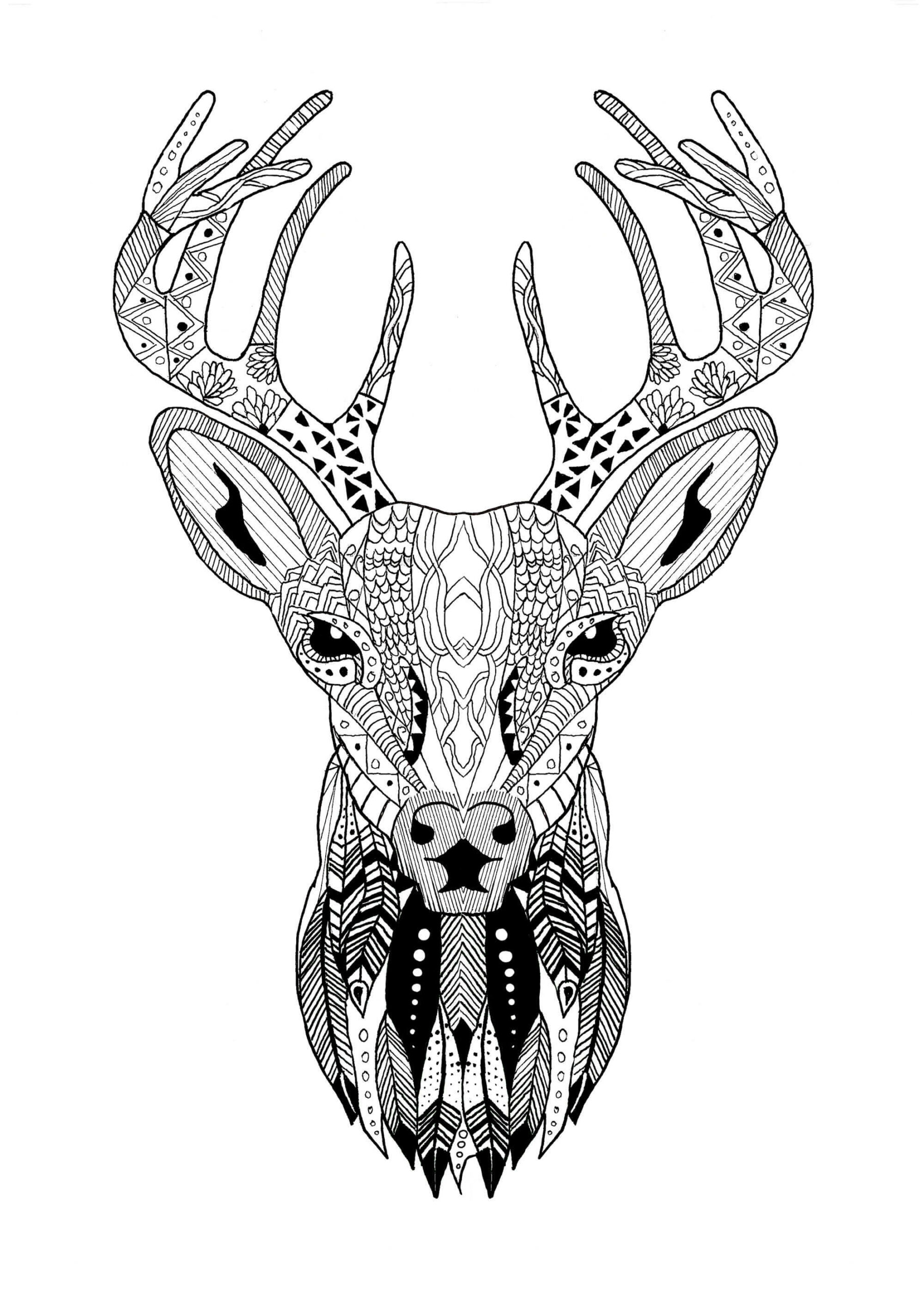 Dibujo de Mandala de Cara de Reno para Colorear