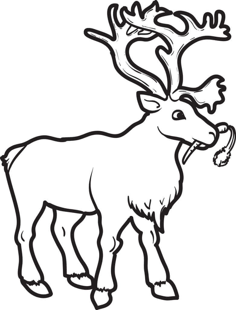 Dibujo de Reno con Zanahoria para Colorear