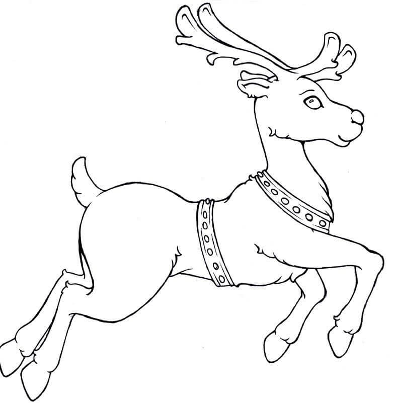 Dibujo de Reno Corriendo para Colorear